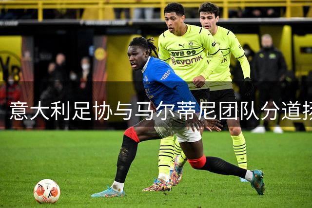 意大利足协与马尔蒂尼团队分道扬镳 16天合作因理念不合画上句点
